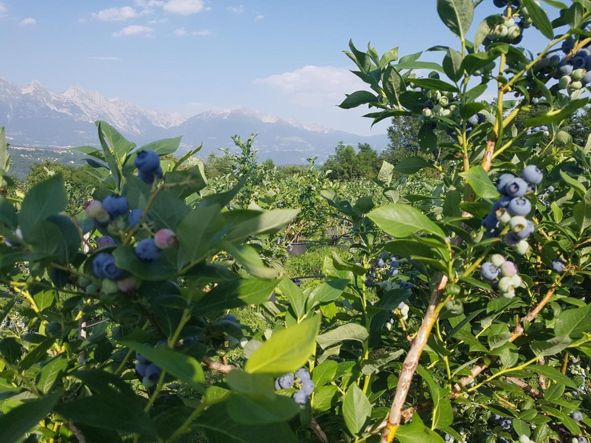 Agriturismo La Giasena Ponte nellʼAlpi Dış mekan fotoğraf