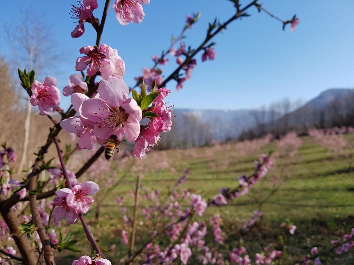 Agriturismo La Giasena Ponte nellʼAlpi Dış mekan fotoğraf